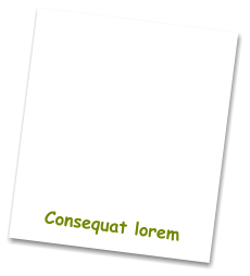 Consequat lorem